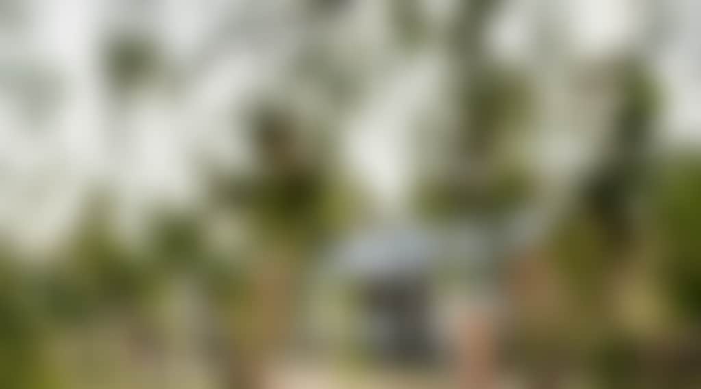 53690292B253E10B58E6D1A03115C363