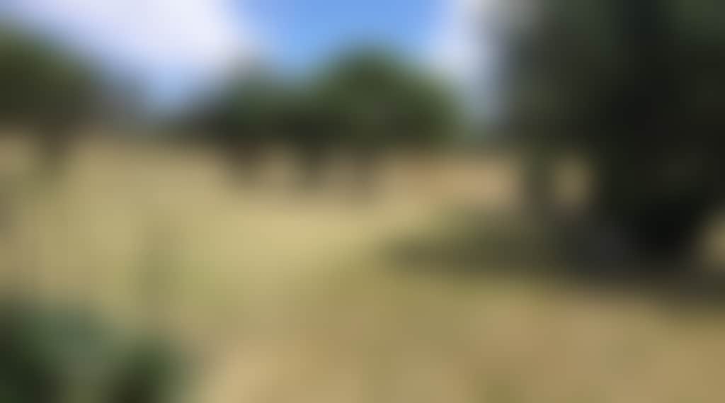 Gpdzap4U3Xicovcbnjux_Pb4K59P