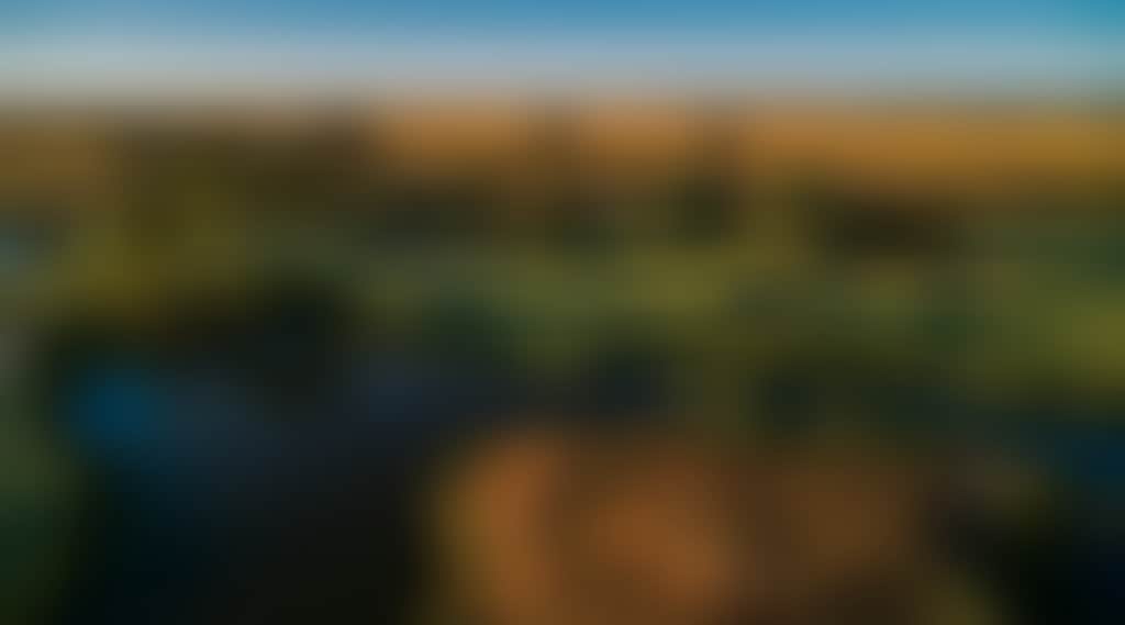 91366Ea29318F539E37Ee1Cfed1F9Dd4