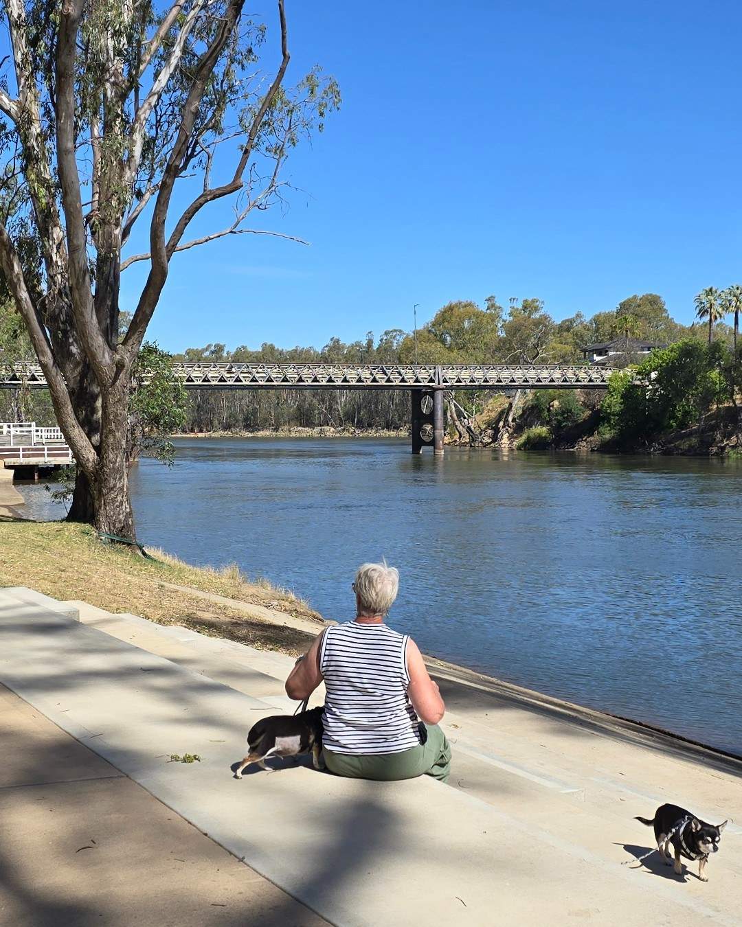 northofthemurray