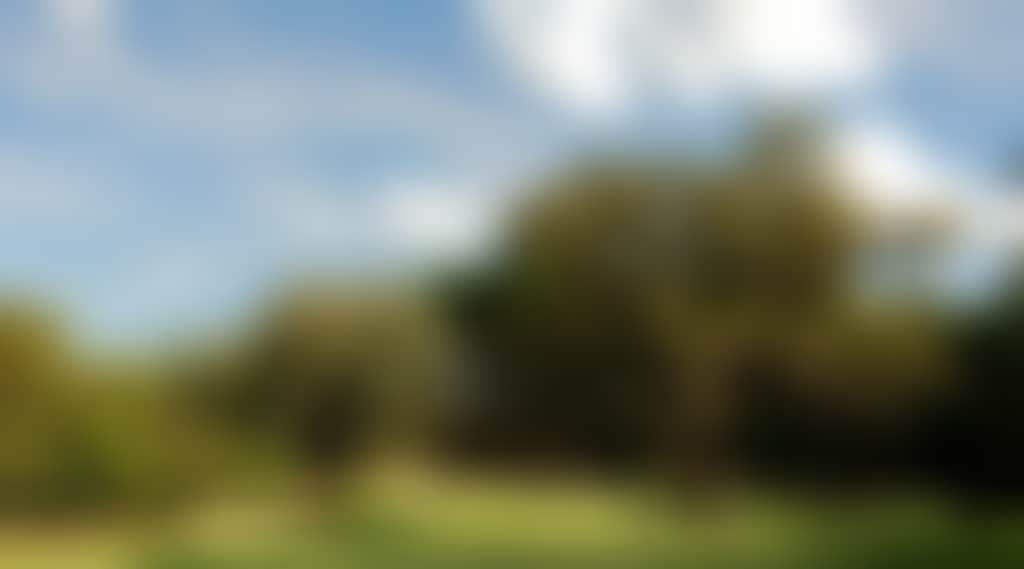 6D9D28B2Cf20B32790De1Fe9Bdcc1B70