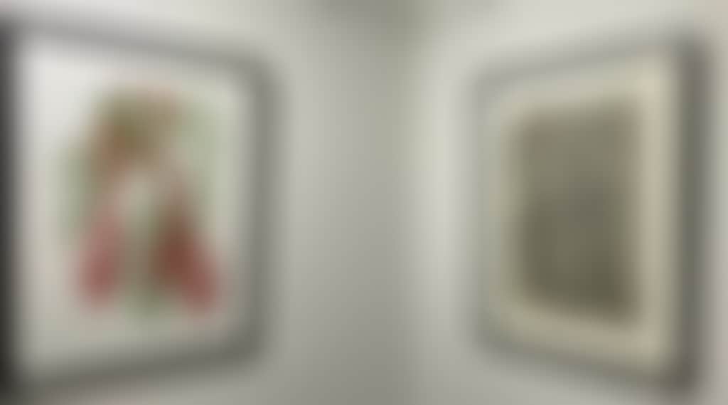 1727Ca6E3B5Da05033Bdd02500C53Bde