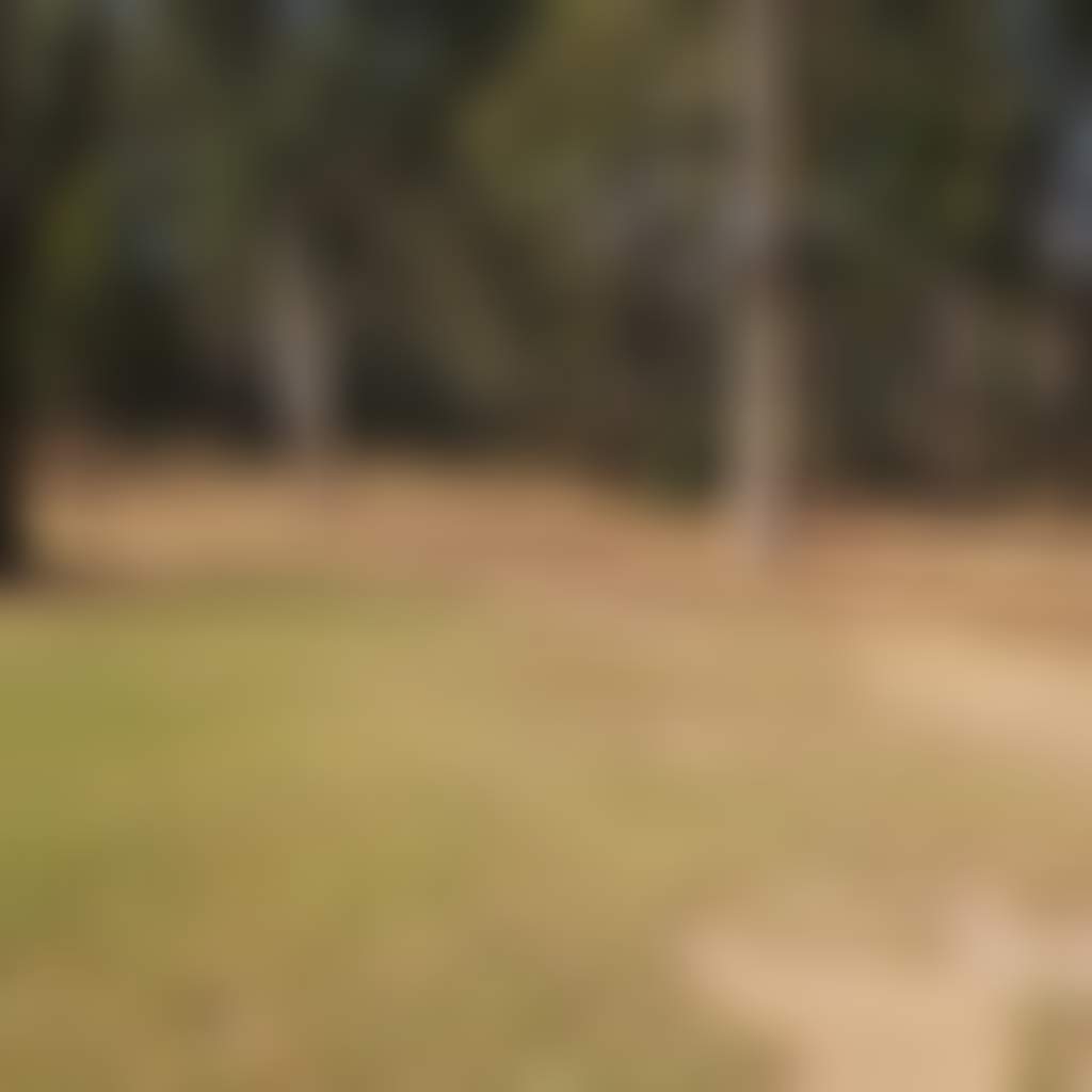 B01Dcb985Ebad11618E4090889Fe84A5