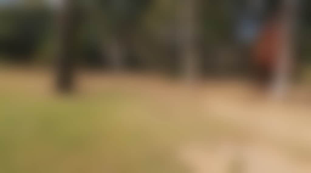 B01Dcb985Ebad11618E4090889Fe84A5