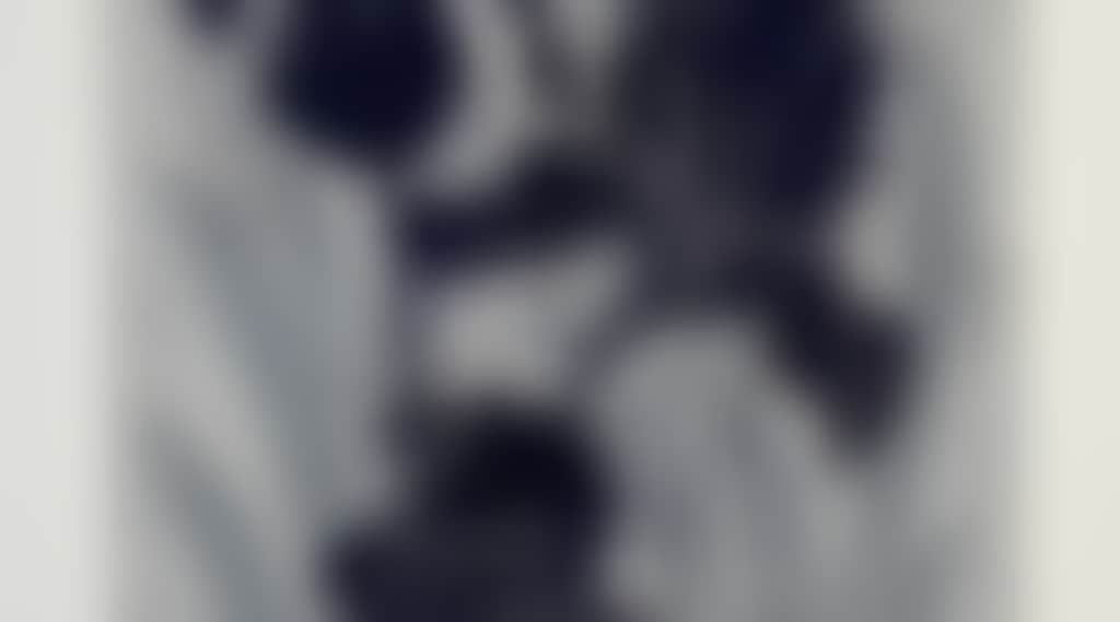 93132479Ab92Fc911C9Da3D8Dd2E22D4