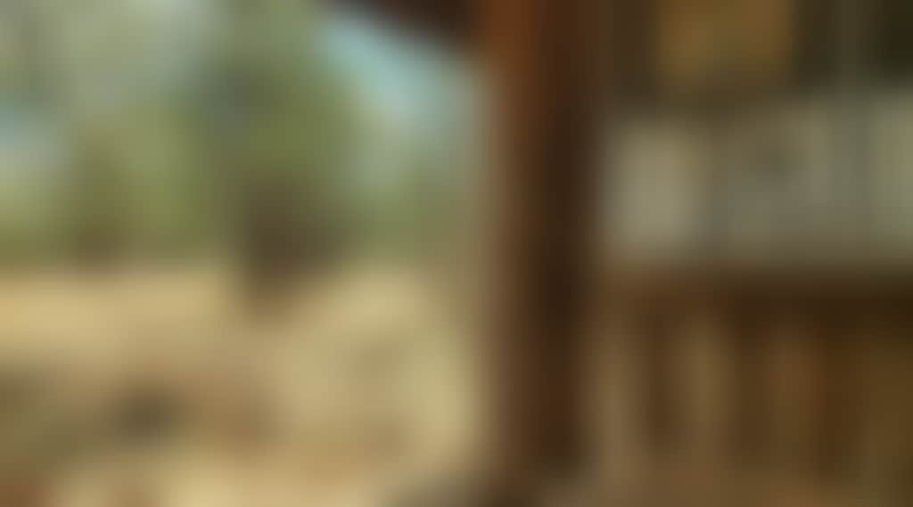 02918D8368Ab5Ee95Feaffd8Cdde91Ea