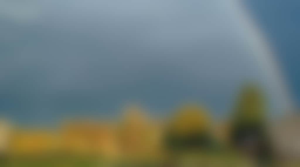 6E8Bd429B72314A8C4703C9Ebf7Ab46F