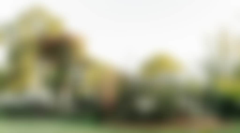 045Fff561A83D7330937Da4106E1Effc