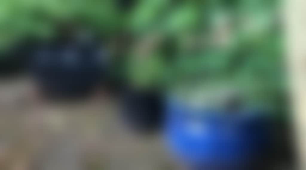 535E69A4B62886A8Cf022D82Bc925006