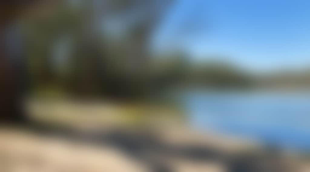 859A108C9Bbfef312A35A458E86Afba6