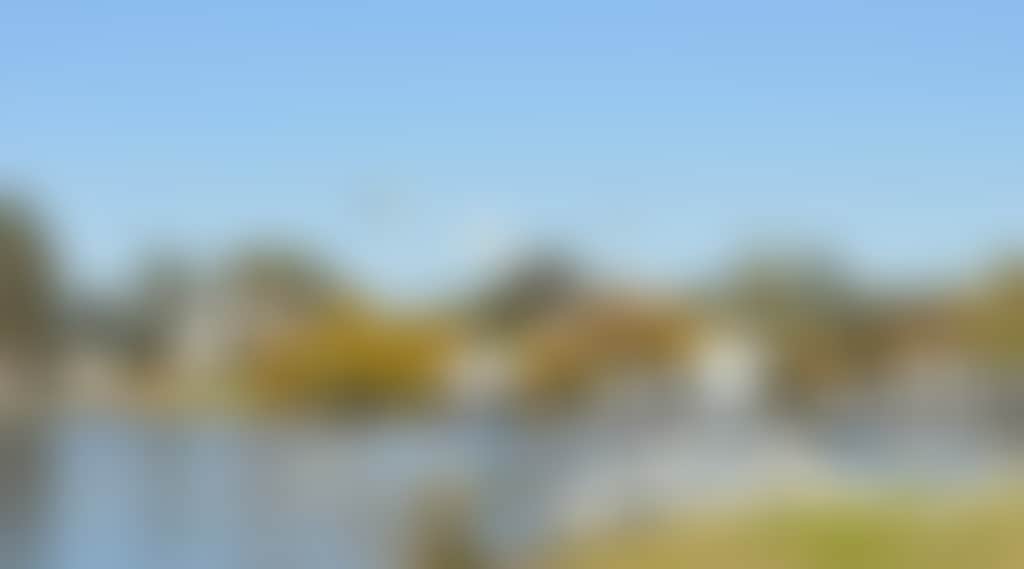 92Ba401Ece515B4Bc461Cd988Cc8D1Df