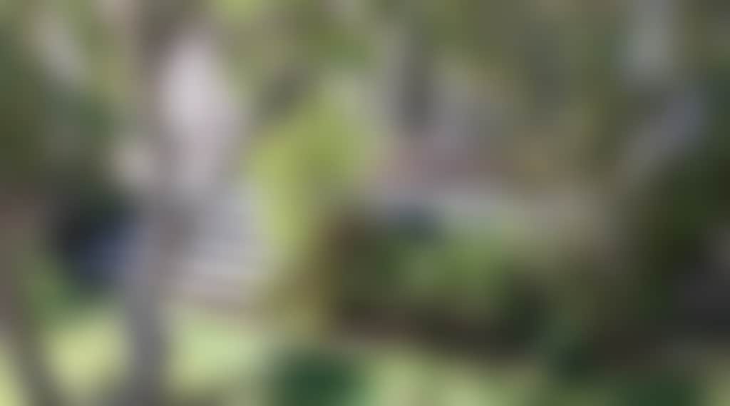 4B1Da086A0F35515D19E16B4B9Cf3Dc3