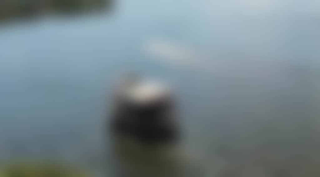 47A4571A6E747116Cb31F19F632Dbc18