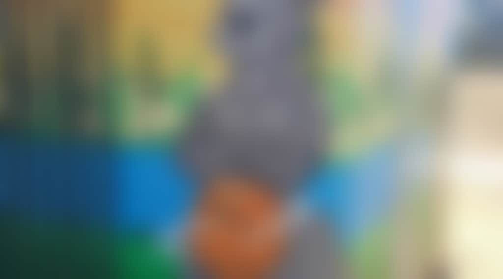 D290685829328Dedc9F0Aae3Da6B3B65