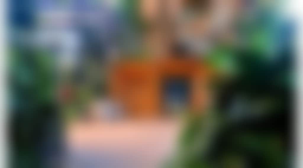 1B9Dfed7F52065421806Be95Caab591A