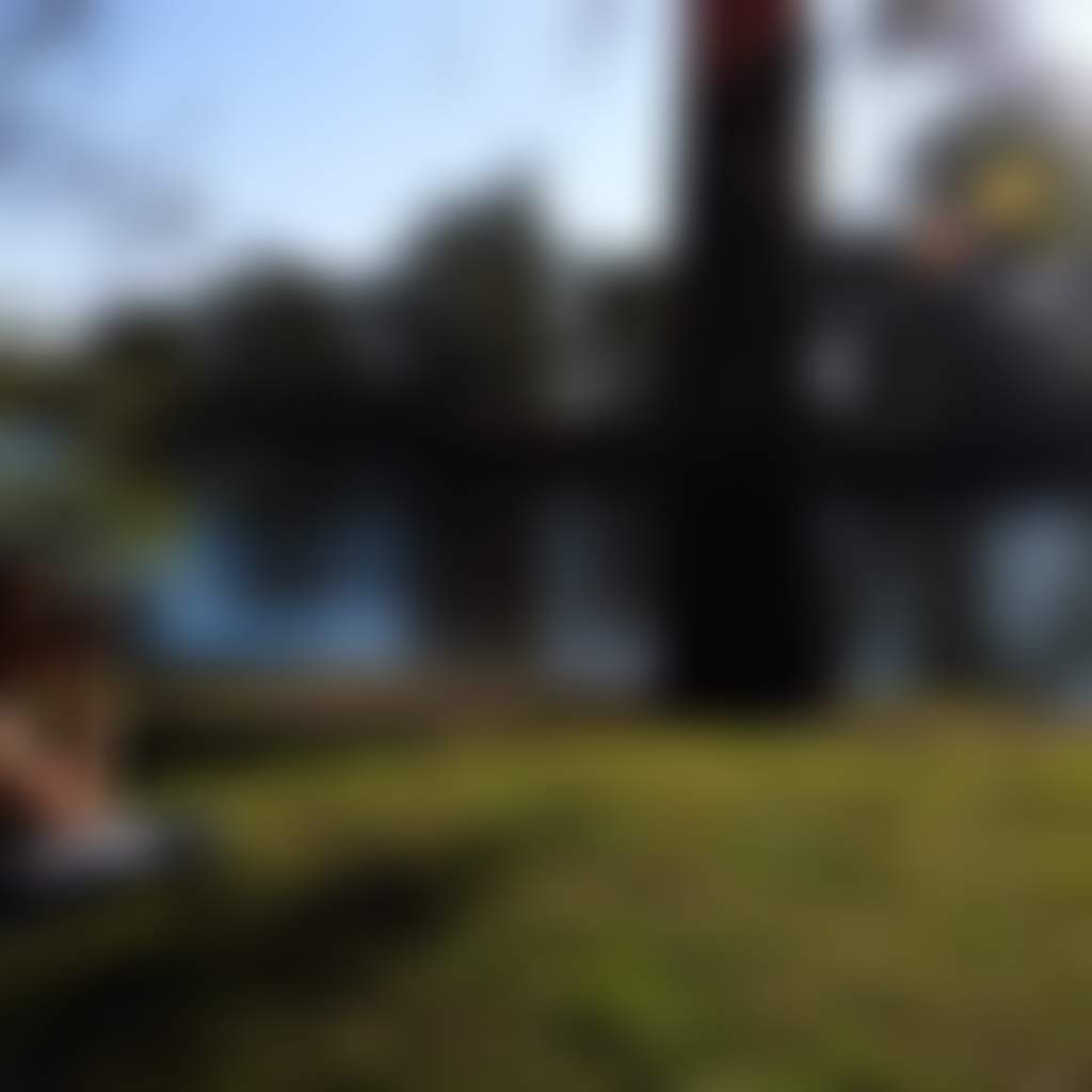 Birdwatching Howlong