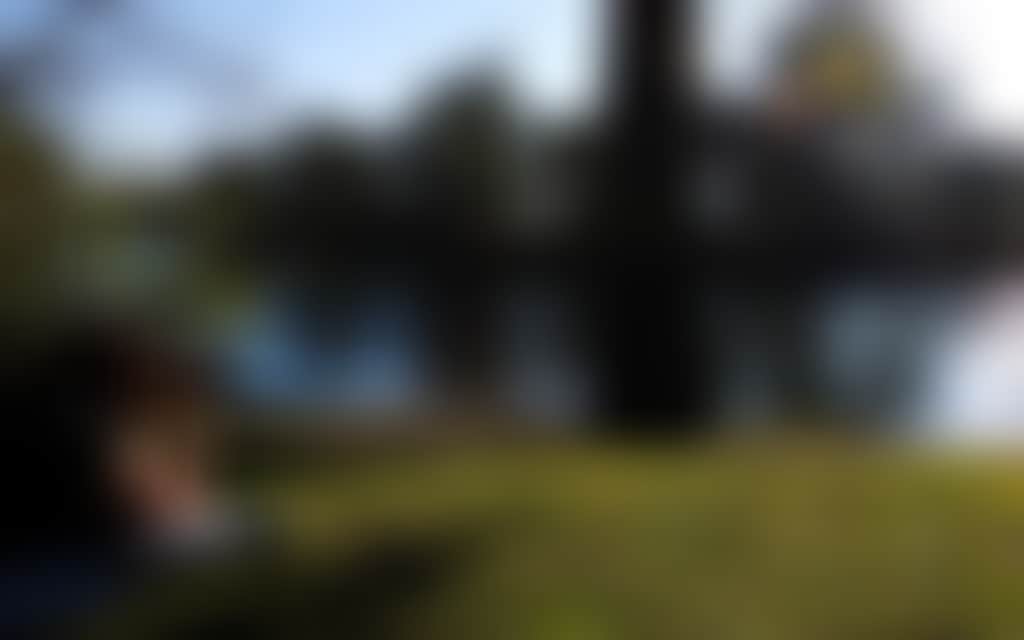 Birdwatching Howlong