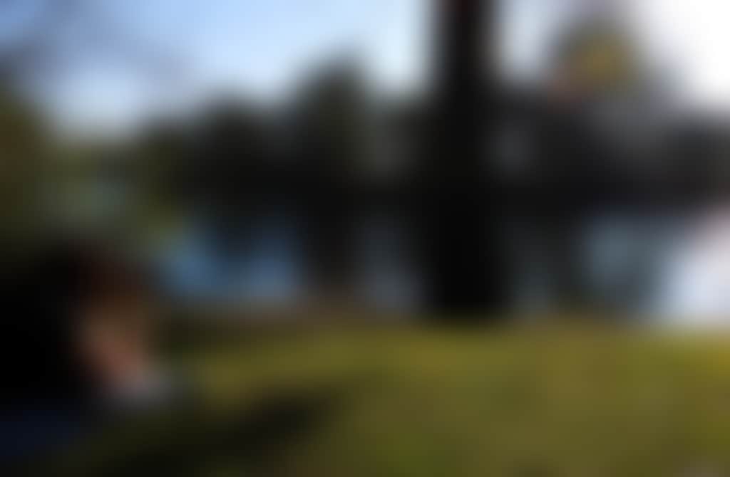 Birdwatching Howlong