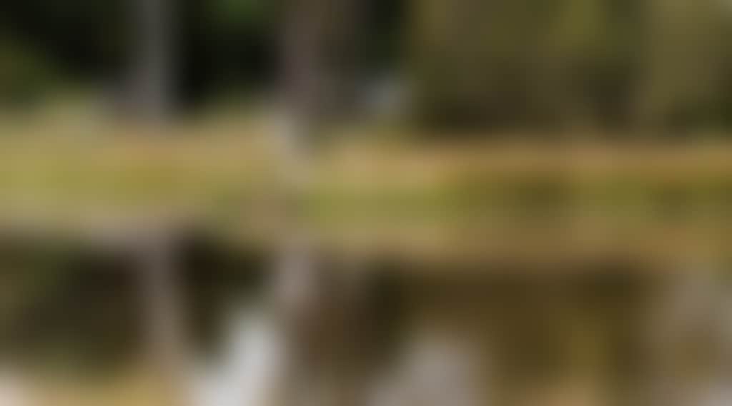 Fadad4Aac597Fa4D0Bae8325Fc78138A