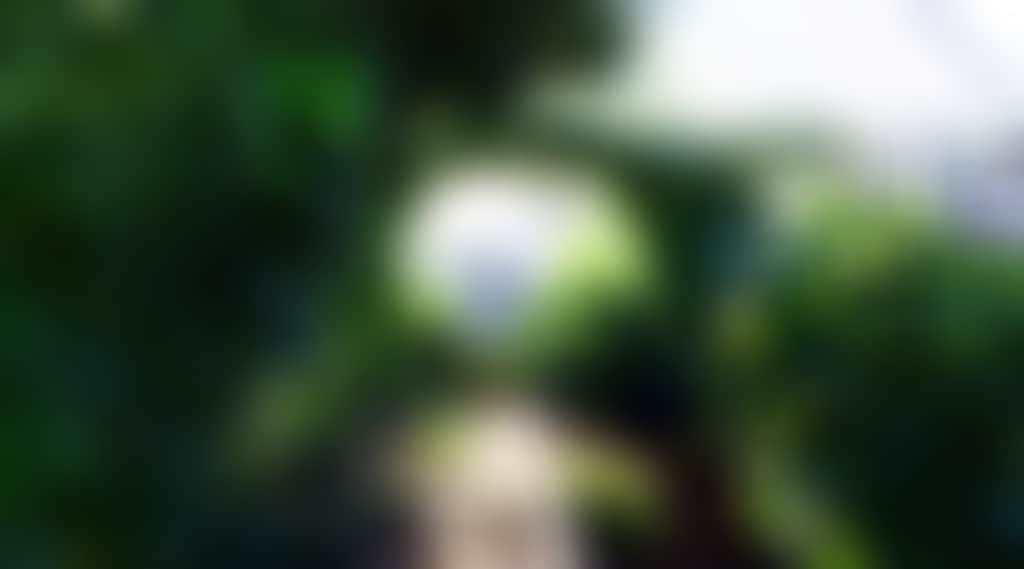 8E667588Fc55Abaf90F2Add677372D08