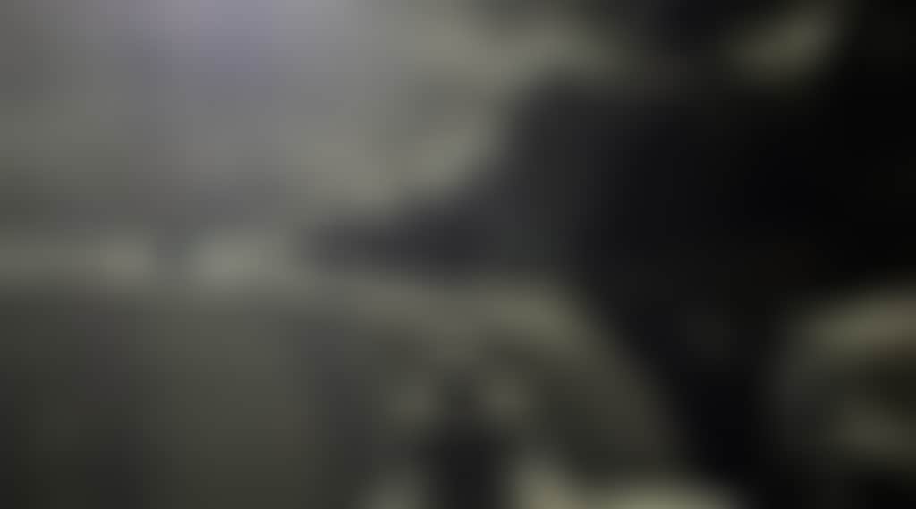 5291Cd8B731737B9B14D457D6A9Ce098