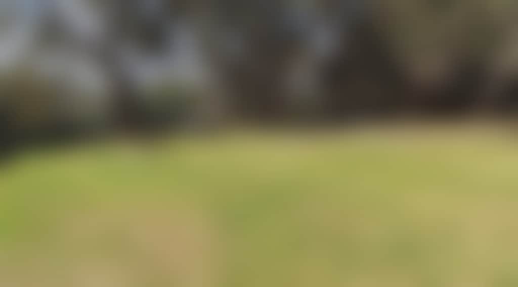 14D7F2B45Df6Fed3F6E9944195F91728