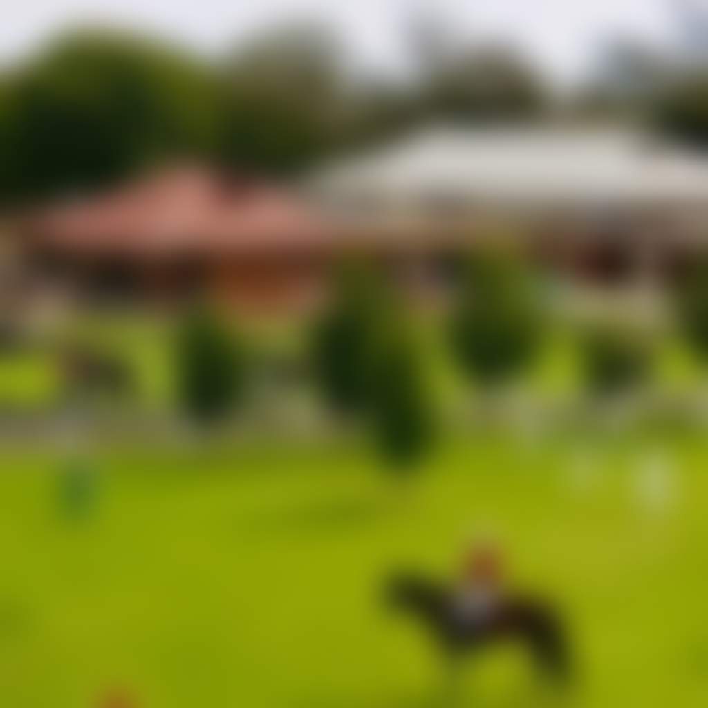 016466Bf277634Ac8F68Ac383B024428