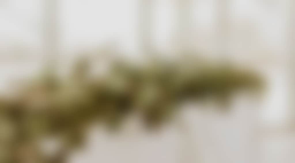 5Fc57Babbbe9Ee1E384D771Aa59B8845