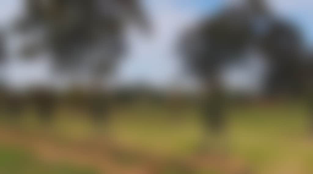 Deb6C981Efa6Db24C9703B8E647381D1