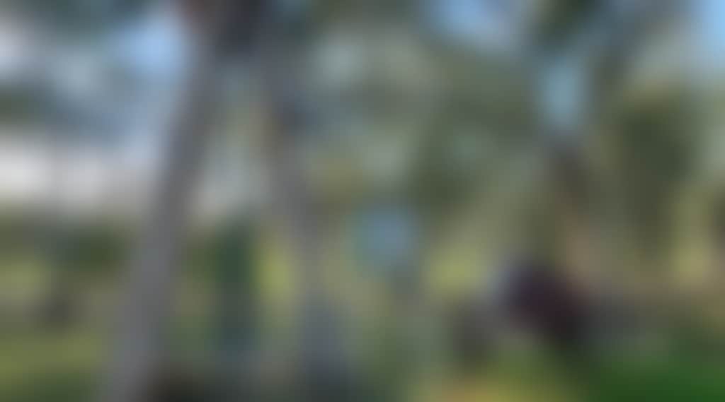 34071214B483D3D4Ddc07B8A8E45A876