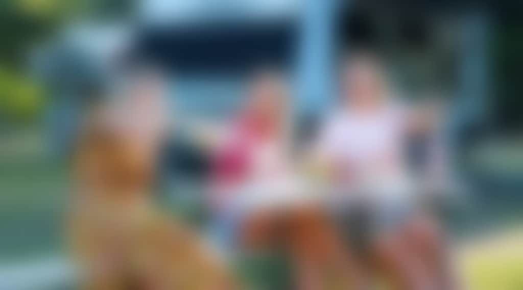 5326547Ff07651Fbbd565398A3Cee02A