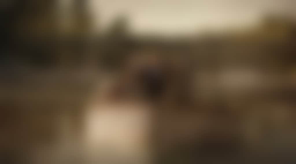 D198Cd34F8Bf713Cfe27C2465E5846A2