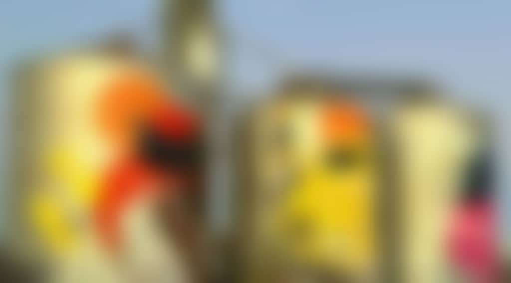 F996A34Bc985E07C03C96025C8Cb4Db4