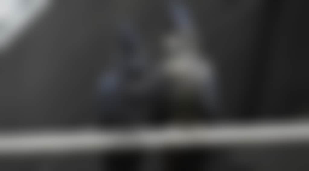 314E18175F95A7E03B5407Ee9B57790D