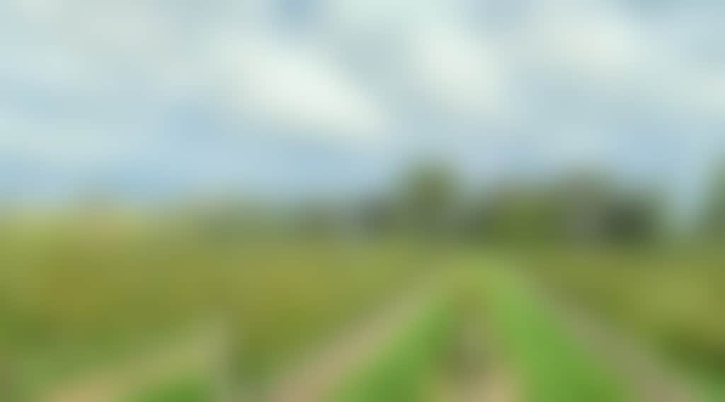 91D2F72E3Dcc5D4386E2092D0Fa6541F