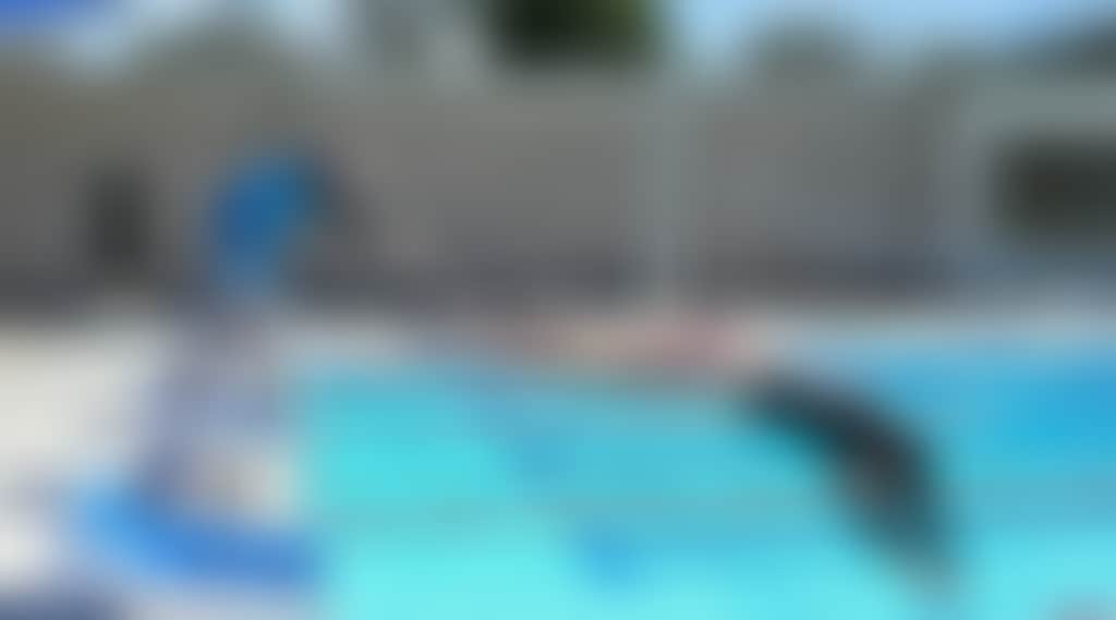 4Ea5124409B03900B7D5798706F9B0C2