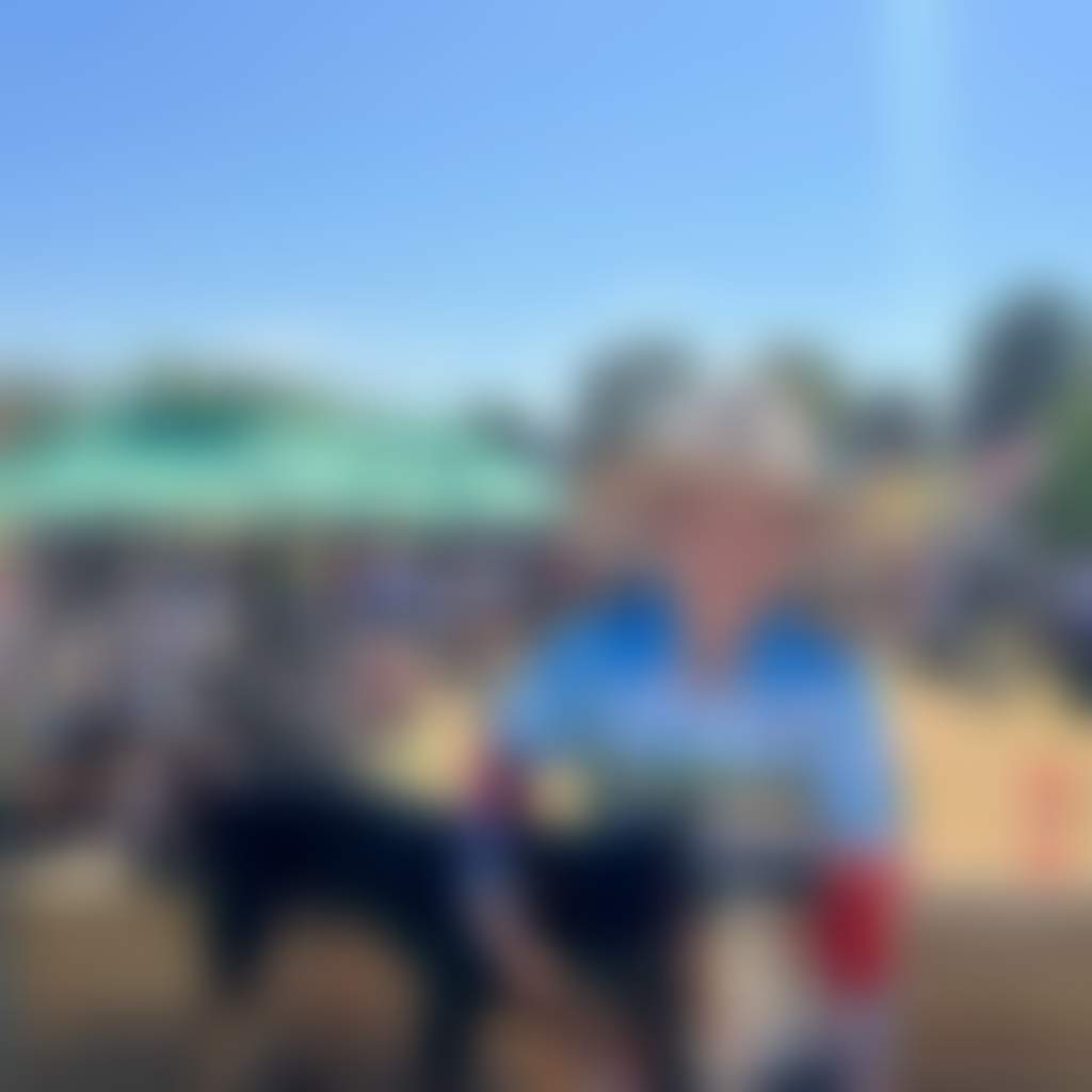 7B126248616908E7B491Ae41913Ff6A9