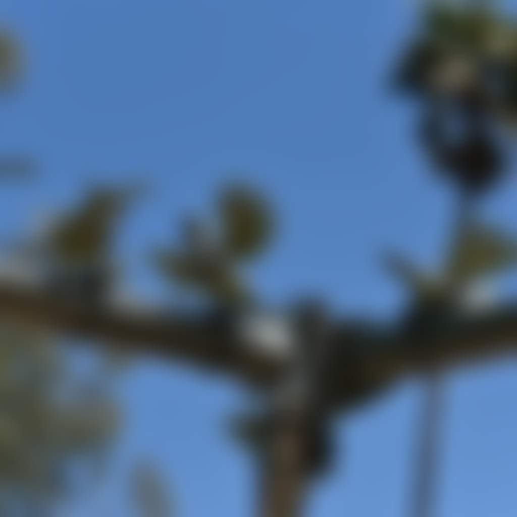 36F5Ccc77B6C89F5Ade821253C23D8Ee