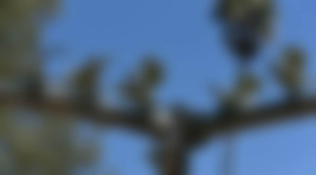 36F5Ccc77B6C89F5Ade821253C23D8Ee