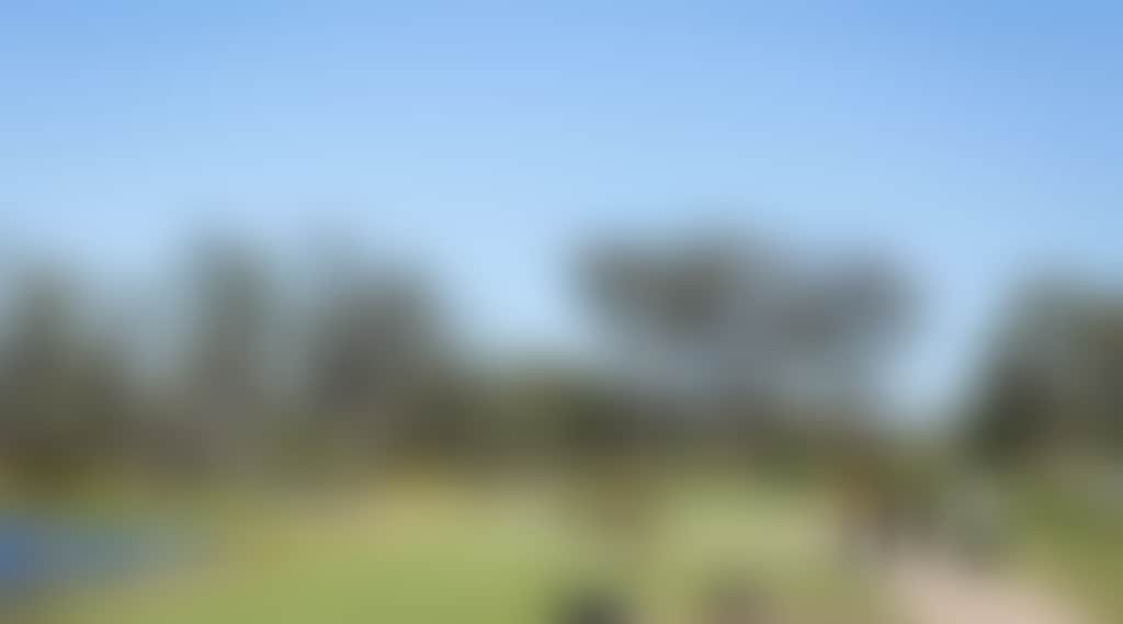 6E4C3F3Fdf176C4Bae148Aca1339C393