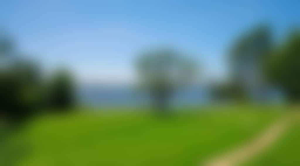 37Bac6Fa6B1F6Ec707Dedd26Add58306