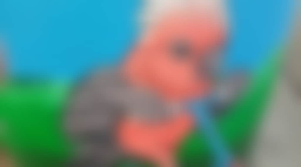2F241Affe70Df108F239C434Dd646571