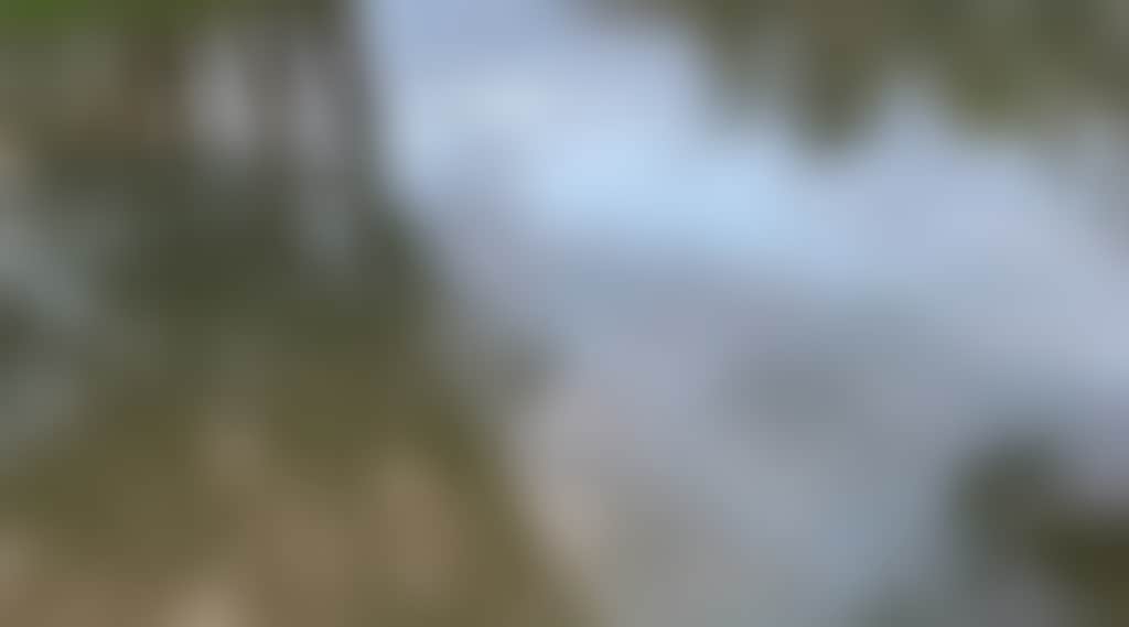 C60B0Fc38Cc02Aa50C99489A39Dcd42E