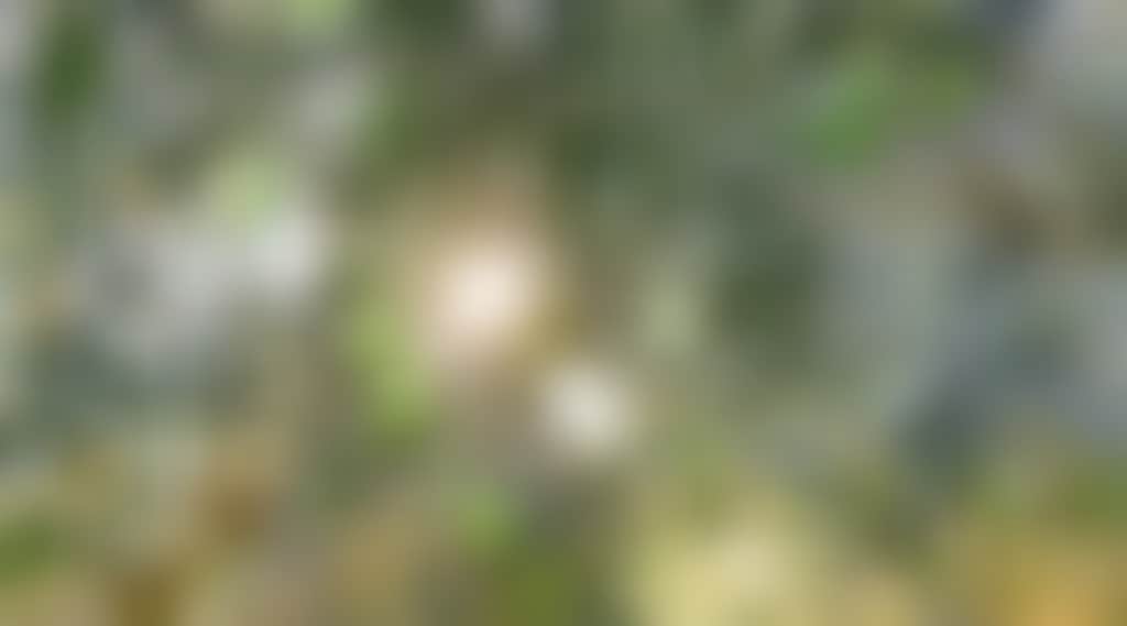 9Be14E377444C7Af96F8Bc749D9D543F