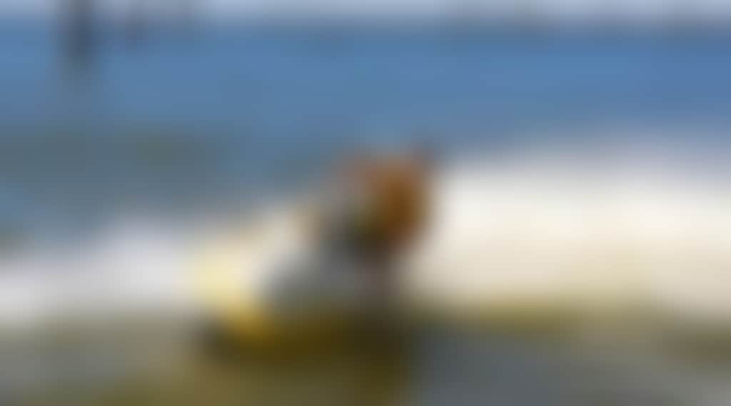 65B12Dbdb746Df45Bda14A2047Ae7658