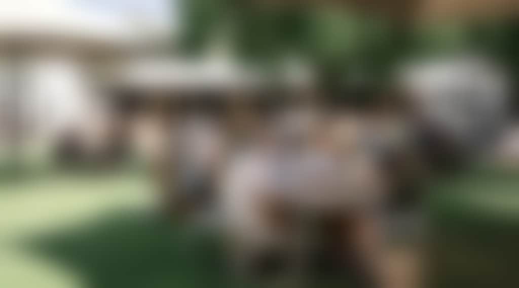 D89Ebfe42Da70Efa4F2072C84B806E55