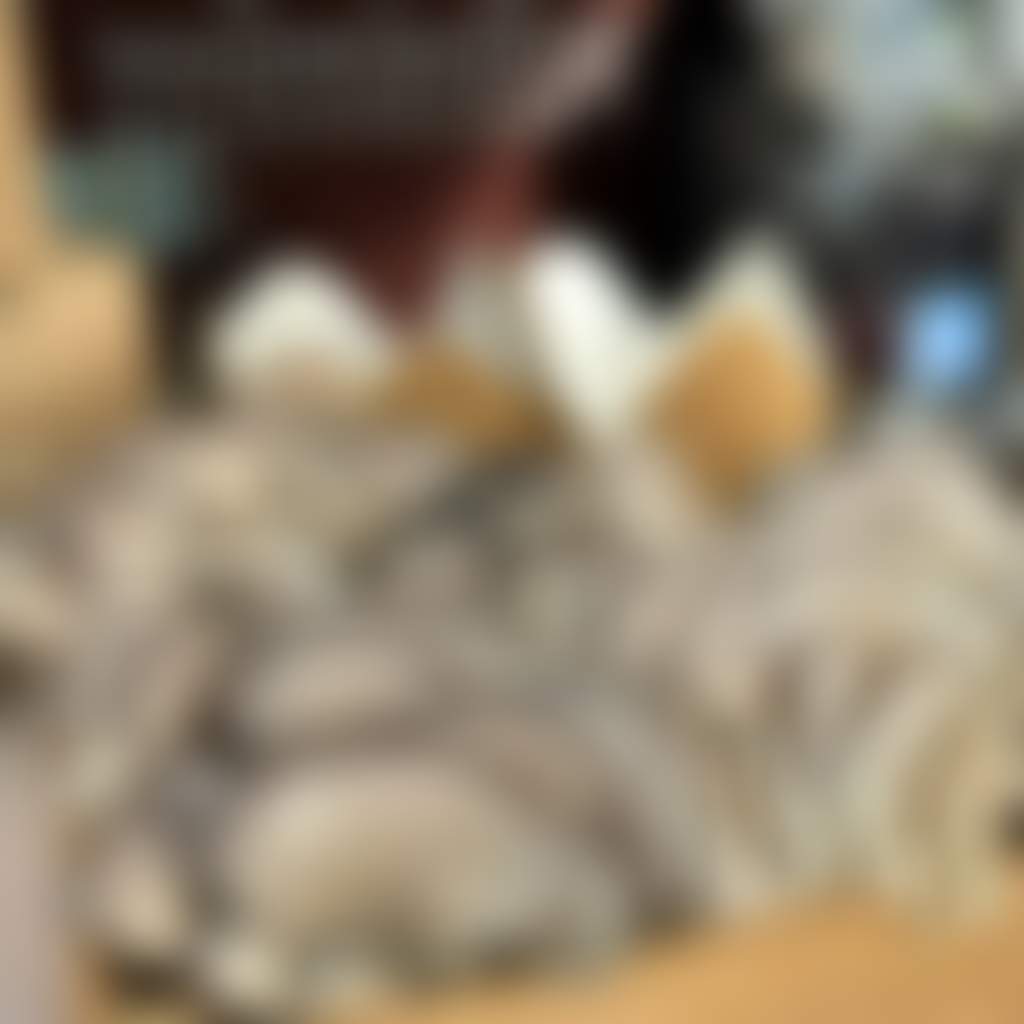 9252F68Cd9E32Eb6427453Fdd15Be911