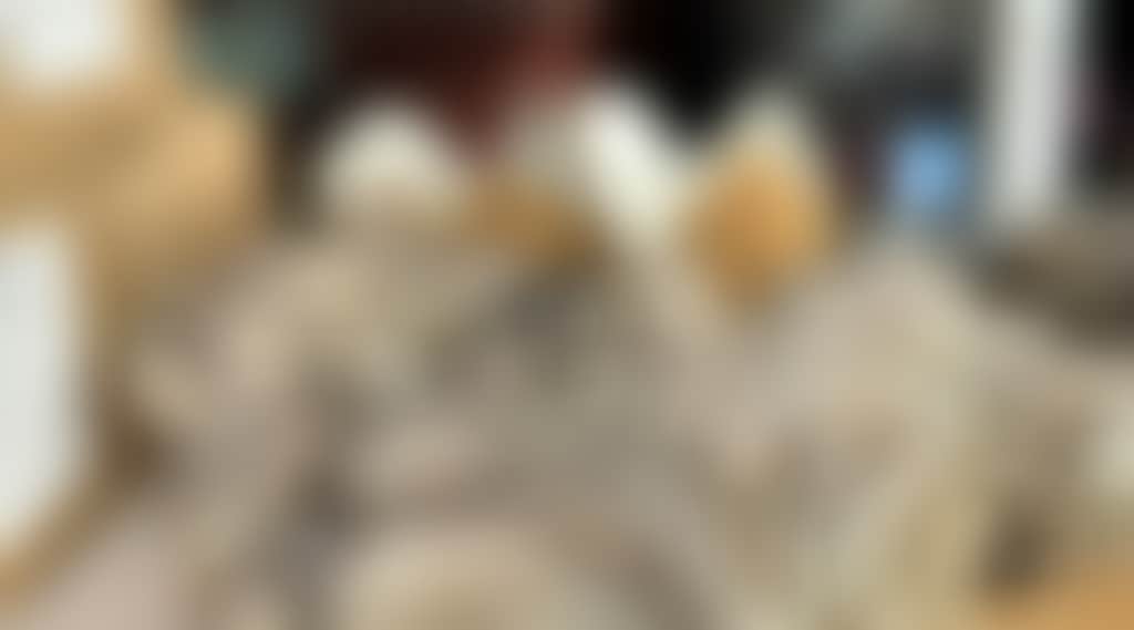 9252F68Cd9E32Eb6427453Fdd15Be911