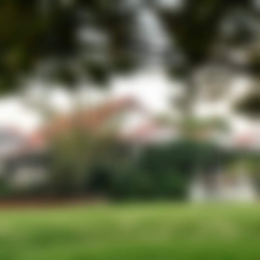 B780C080900D5Fb8D397A102C6375718