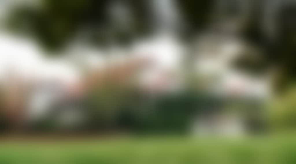 B780C080900D5Fb8D397A102C6375718